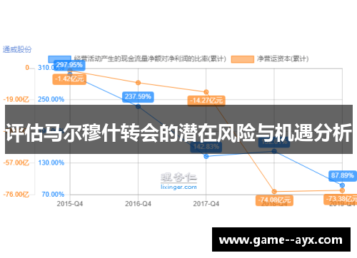 评估马尔穆什转会的潜在风险与机遇分析 评估马尔穆什转会的潜在风险与机遇分析