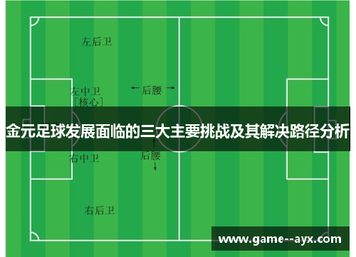 金元足球发展面临的三大主要挑战及其解决路径分析