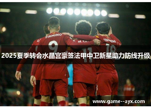 2025夏季转会水晶宫豪签法甲中卫新星助力防线升级